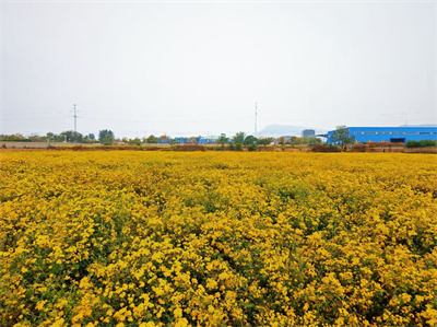 f9bcd307dbd22db34e64d1b50b6242f4.jpg f9bcd307dbd22db34e64d1b50b6242f4.jpg