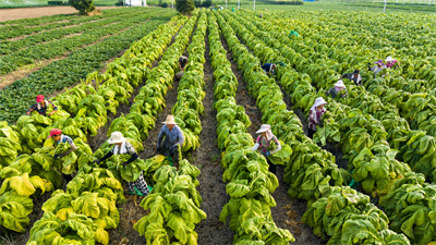 e2dc2704277d4790891af6c6ce7c3928.jpg e2dc2704277d4790891af6c6ce7c3928.jpg