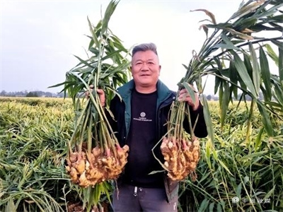 1554148631260999_new_content.jpg 1554148631260999_new_content.jpg