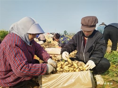 1554144591457817_new_content.jpg 1554144591457817_new_content.jpg