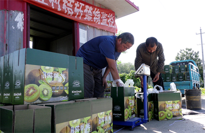 LOCAL1759048912563QJ4B7UBC1I.png LOCAL1759048912563QJ4B7UBC1I.png