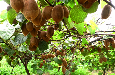 LOCAL1759048895869YNZUREB73V.png LOCAL1759048895869YNZUREB73V.png